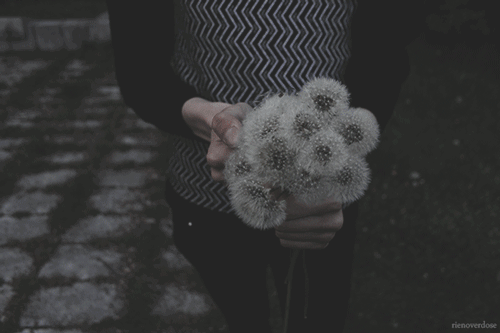 tumblr_o3xhww8yxk1v7d0sfo1_500