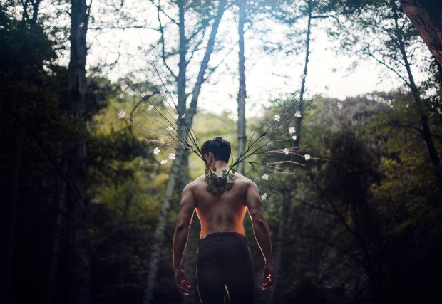 tony-ross-344270-unsplash