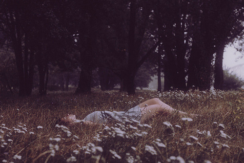 girl in flower medow